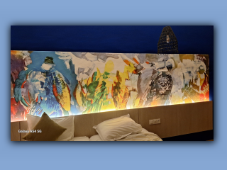 Tunisian 2025 (2).jpg